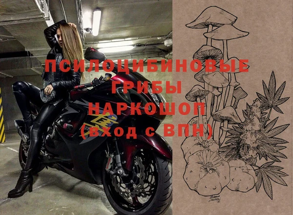 гидропоника Арсеньев