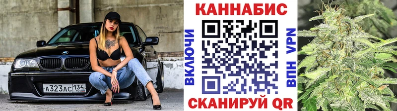 Каннабис индика Бологое